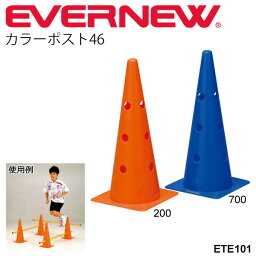 カラーポスト46 エバニュー EVERNEW 体つくり運動 体育用品 備品 幼児教育用品 学校 スポーツ施設 ジム 自宅トレーニング用品 備品/ETE101【取寄】【RKap】