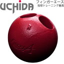 野球 投球 トレーニング器具 鉄球タイプ 練習器 内田販売システム UCHIDA フィンガーエース 約1.1kg/指先強化 自宅トレーニング 部活/FAI-R【取寄】