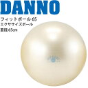 送料無料 バランスボール 直径65cm フィットネス用品 器具 ダンノ DANNO フィットボール65 パールカラー/ギムニクボール 耐体重300kg 自宅トレ...