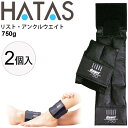 送料無料 ハタ HATAS Gawri ガウリアンクルウエイト750g(2ヶ組) 足首用 /トレーニング用品 自宅トレーニング 家トレ 秦運動具工業/HAU-25W7502【取寄