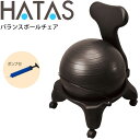バランスボールチェア ポンプ付き トレーニング用品 ハタ HATAS バランス 体幹 フィットネス 家トレ 自宅トレーニング 秦運動具工業/HAU-DB120C...