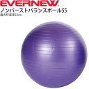 エバニュー EVERNEW ノンバースト バランスボール 55 最大時直径55cm 適応身長120～150cm/トレーニング・フィットネス 体幹 インナーマッスル 体育用品 スポーツ施設 用具 器具 用品/ETB601【取寄】