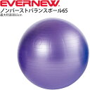 エバニュー EVERNEW ノンバースト バランスボール 65 最大時直径65cm 適応身長150cm以上/トレーニング・フィットネス 体幹 インナーマッスル ...