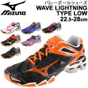 バレーボールシューズ メンズ レディース 当店オリジナルカラー ミズノ Mizuno WAVE LIGHTNING TYPE LOW 限定 ウエーブライトニング 22.5-28cm ローカット ひも靴 競技 スポーツ バレーシューズ 練習 部活 試合 くつ V1GX200000【RKap