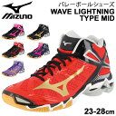 バレーボールシューズ メンズ レディース 当店オリジナルカラー ミズノ Mizuno WAVE LI ...