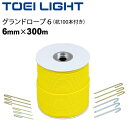 送料無料 ロープ トーエイライト TOEI LIGHT グランドロープ6 300m 杭100本付き/運動場 グラウンド用品 体育用品 用具/G-1189【取寄】