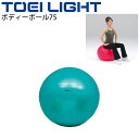  {fB[{[75 g[GCCg TOEI LIGHT a75cm oX{[ tBbglX GNTTCYpi ̂ p ObY /H-7263yz