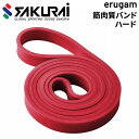 トレーニングバンド SAKURAI erugam エルガム 筋肉質バンド ハード ゴムバンド エクササイズ フィットネス 体幹 筋トレ 太もも 下半身 全身運動...