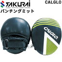 SAKURAI フィットネス用品 PRO-WING パンチングミット ボクササイズ エクササイズ 家ジム 宅トレ サクライ貿易/PWF-132【取寄】【返品不可...