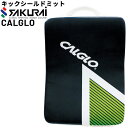 送料無料 SAKURAI フィットネス用品 PRO-WING キックシールドミット/ボクササイズ エクササイズ 家ジム 宅トレ サクライ貿易/PWF-133【取...