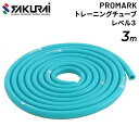 トレーニングチューブ SAKURAI PROMARK プロマーク トレーニングチューブ レベル3 野球 立花龍司氏監修/フィットネス 体幹 筋トレ 全身運動 エ...