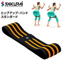 フィットネス用品 SAKURAI erugam エルガム トレーニングバンド (スタンダード)/ヒップアップバンド ゴムバンド エクササイズ 運動 筋トレ 家ジ...