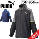 EBhu[J[ EChu[J[ LbY 130-160cm q/v[} PUMA ACTIVESPORTS WjA WPbg/gRbgN ۉ h X|[cEFA/qǂ 㒅 Wo[ H~ ^ ʉʊw/671896