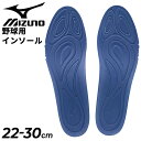 ミズノ 野球 中敷き 22-30cm 両足 メンズ レディース mizuno GCLインソール 取り替え用 男女兼用 靴ケア用品 ベースボール ソフトボール くつ クツ 野球用品/11GZ192000