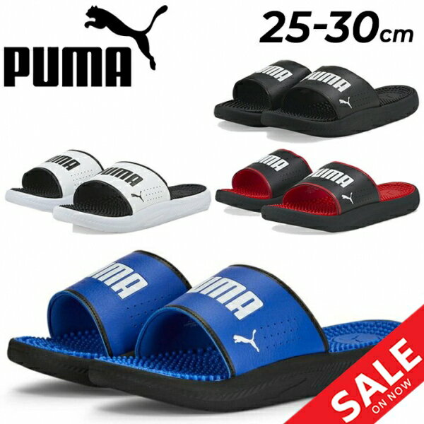 ̵ ס ݡĥ  塼 PUMA SOFTRIDE 饤 ޥå   򹯥   /383062pu22pd