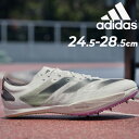 アディダス 送料無料 アディダス 陸上スパイク メンズ 中距離走用 トラックシューズ adidas ADIZERO AMBITION アディゼロ アンビション ローカット ひも靴 スポーツシューズ 競技 部活 クラブ トラック＆フィールド ブランド くつ/IE5486