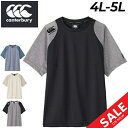  J^x[  TVc Y 4L 5L 傫TCY canterbury R+ ptH[}XeB[ RUGBY+ Or[ rbOTCY g[jO X|[cEFA EGA  Lk RۖhL UVPA @\ YEFA jp  uh Ap/RP34071B