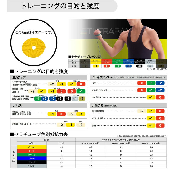 D&M セラバンド トレーニングチューブ 初心者向け ディー＆エム THERABAND セラチ...