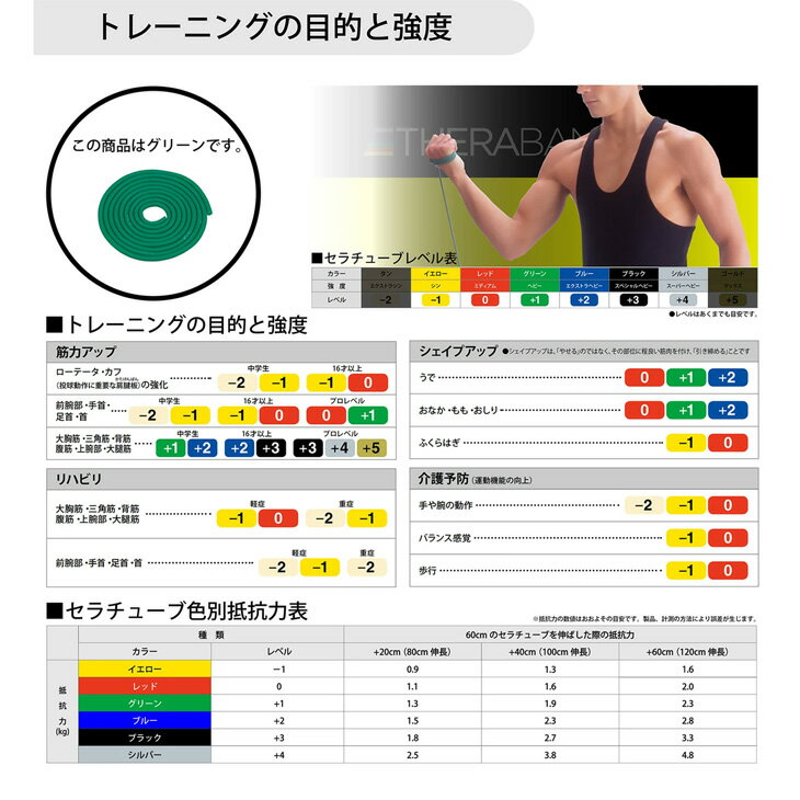D&M セラバンド トレーニングチューブ 初心者向け ディー＆エム THERABAND セラチューブ 強度レベル+1 フォーエントリー 緑 グリーン 全長1m マニュアル冊子付 ビギナー トレーニングゴム 筋トレ エクササイズ 運動 体幹 シェイプアップ リハビリ ブランド ギア 器具/TTE13 3