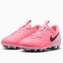 送料無料 ナイキ ジュニア サッカーシューズ 子ども用 NIKE ファントム GX 2 アカデミー 20-24cm 子供靴 キッズ HG サッカースパイク ロー...