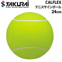 カルフレックス CALFLEX テニス サインボール 約24cm 寄せ書き 記念品 プレゼント ギフト 贈り物 誕生日 部活動 テニス用品 スポーツ 体育 ブラ...