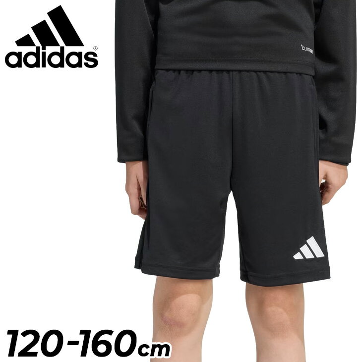 アディダス ショートパンツ キッズ ジュニア adidas ENTRADA 26 トレーニング ショーツ 120-160cm サッカーウェア フットサル スポーツウェア 子供服 キッズウェア ハーフパンツ 短パン 子ども こども 小学生 サッカーパンツ ずぼん ブランド アパレル/M5465