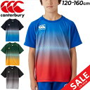 󥿥٥꡼ å Ⱦµ T 120-160cm Ҷ canterbury ˥ ȥ졼˥󥰥ƥ Ҥɤ 饰ӡ ݡĥ ۴®  ɤ ȥåץ/RGJ33251