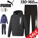  v[} LbY XEFbg ㉺ 130-160cm q PUMA ESS+ LOGO LABO WjA Wbvp[J[ Opc ZbgAbv N ۉ qǂp ㉺g XGbg H~ X|[cEFA LbYEFA EGA    uh Ap/677739-678541