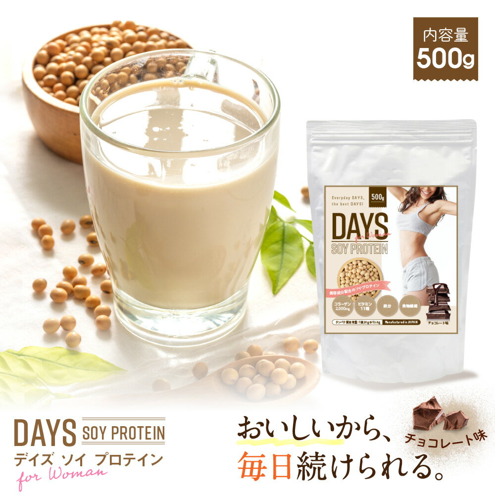 ソイプロテイン 女性 プロテイン 大豆プロテイン 500g DAYS SOY チョコレート風味 置き換え 自宅 トレーニング ダイエット サポート 大豆たんぱく 健康維持 美容 SoyChoco500g 美味しい たんぱく チョコ 大豆 置き換えダイエット 高タンパク 鉄分 ココア チョコレート