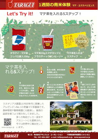 マテ・エクスペリエンス説明2