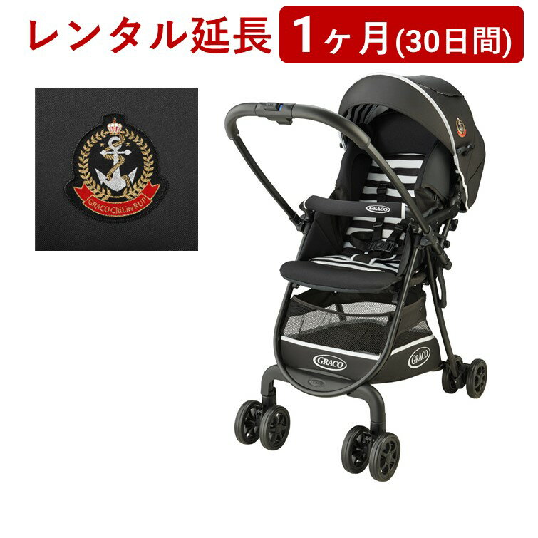 GRACO(グレコ) | シティライト R アップ<1ヶ月(30日間)レンタル延長>※現在、レンタル商品をご利用中のお客様が対象です