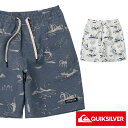 QUIKSILVER クイックシルバー サーフパンツ ボードショーツ 水着 キッズ 男の子 17 インチ 海 プール サーフィン シュノーケリング KIDS KBS212100