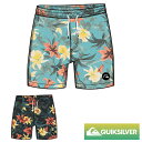 Quiksilver クイックシルバー サーフパンツ 水着 メンズ 水陸両用 海パン ボードショーツ 海水パンツ 20インチ サーフィン EQYJV03869