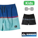 QUIKSILVER クイックシルバー ボードショーツ サーフパンツ サーフショーツ 水着 サーフィン キッズ 子ども 男の子 ジュニア 子供 14インチ 水陸両用 AQBJV03051 EVERYDAY WORDBLOCK VLY YTH 14