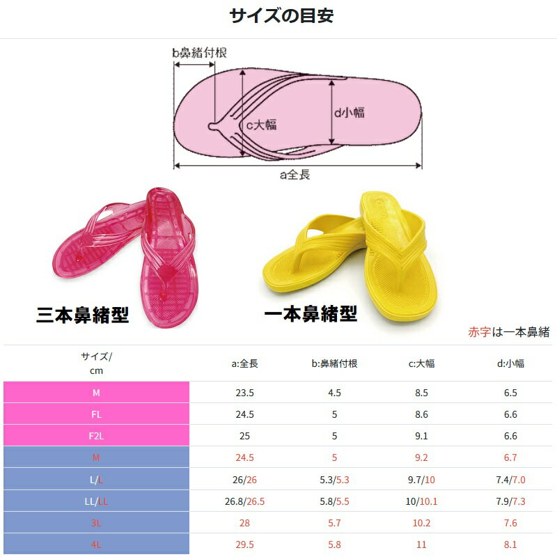 BBC �����С���������� ��ǥ����� 6�ڥӡ����������/������/�����꡼��