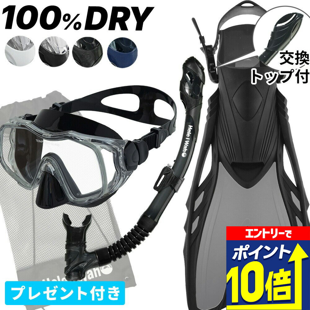 【エントリーで10倍！】 シュノーケリング セット 3点セット マスク ドライ スノーケル フィン 大人 子..
