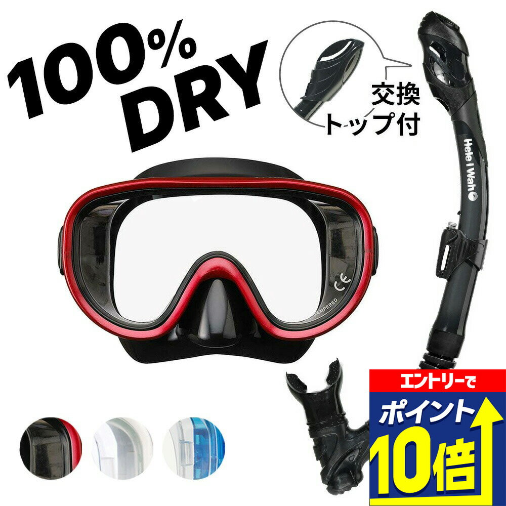 【エントリーで10倍！】 シュノーケリング セット 2点セット マスク ドライ スノーケル 大人 子供 メン..