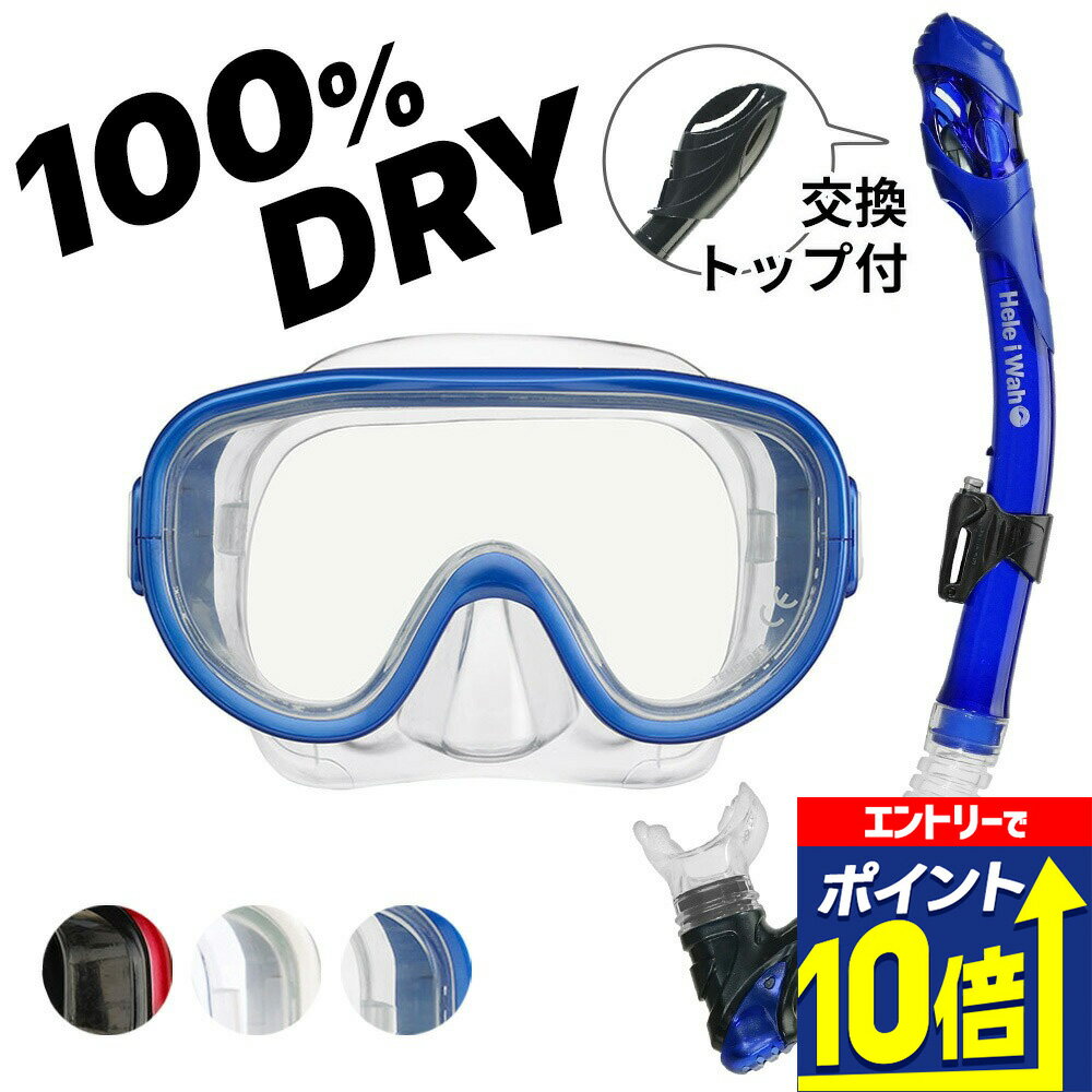 【エントリーで10倍！】 シュノーケリング セット 2点セット マスク ドライ スノーケル 大人 子供 メン..