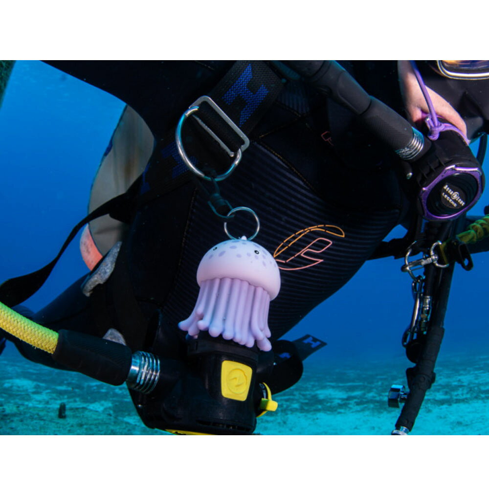 オクトパスホルダー オーシャナリウム octopus holder かわいい 生き物 Oceanarium...