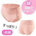  3枚 セット まとめ買い 深履き 綿 ショーツ レディース 深ばき 深め コットン パンツ ハイウエスト クロッチ 綿100％ 下着 パンツ 股上深め ふかばき 無地 綿ショーツ コットンショーツ 送料無料 AQshop