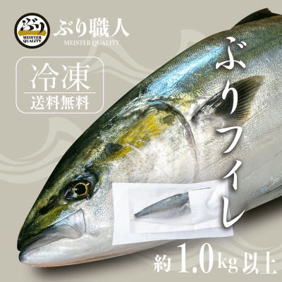 【鹿児島産ぶり】 冷凍 ぶりフィレ 