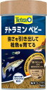 テトラミン ベビー30G