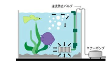 アクアF数量限定大特価！【テトラ】熱帯魚　飼育用品　スポンジフィルターテトラ　ミニフィルターキット