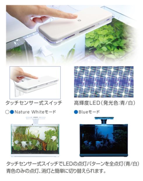 新商品！【観賞魚水槽用ライト】コトブキ　LEDライト　アクストLED　36特価！