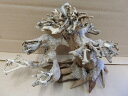 アクアF人気商品!【流木】水景BONSAI 五葉松 m-9 高級変わり流木神戸店在庫品