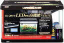 ラピレスRV60GTLEDセット