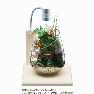 【GEX】 水草インテリアグラスベース：ホワイトアッシュ200コンパクト水槽用木目専用プレート