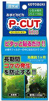 【コトブキ】Pカット　キッス25