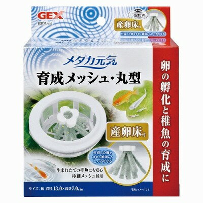 元気に育てられるメダカ用品ブランドNo.1 ●商品特徴 稚魚育成の必需品! 卵・稚魚の隔離容器として使用できるコンパクト飼育ケース。 水槽の中に浮かべる、水槽の外に置いて使うの2通りで使用可。 浮かべて使用する場合、水槽の水を共有するので水質が安定。 メッシュ部分に水面がくるので、水面が動きやすく、油膜の発生を軽減。 水面から1cm以上浮上するので、稚魚の飛び出しや親魚が飛び込みにくい仕様、補助フロート付き。 クリアだから稚魚の成長を横から観察しやすい。 極細メッシュ採用で、稚魚を入れたままメッシュ部分から排水することができます。 本体サイズ:約幅15.0×奥行13.5×高さ11.0cm 水容量:約0.7L(水槽外で使用する場合)