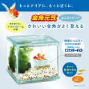 金魚元気 ぶくぶくクリア200CUBE